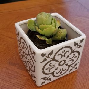 NEW! Square ceramic pot